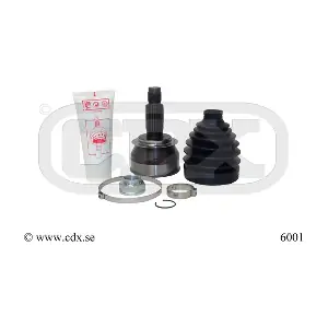 6001 CDX