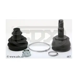 CDX 487