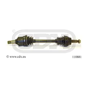 110881 CDX