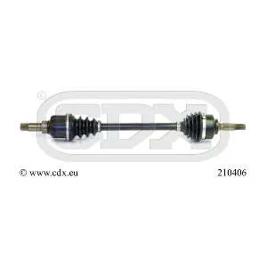 210406 CDX