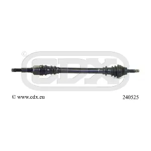 240525 CDX