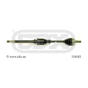210183 CDX