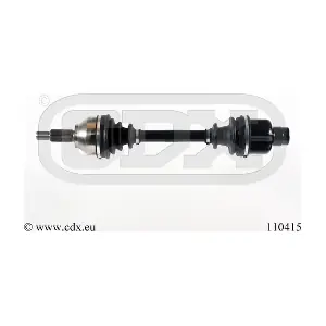 110415 CDX