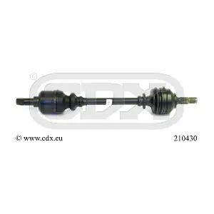 210430 CDX