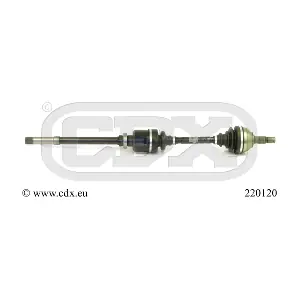 220120 CDX