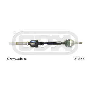 230557 CDX