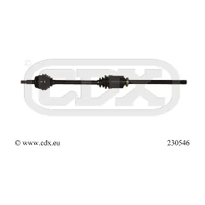 230546 CDX