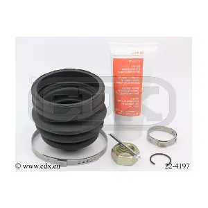 22-4197 CDX