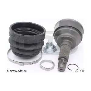 291/00 CDX