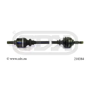 210384 CDX
