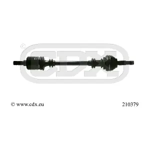 210379 CDX