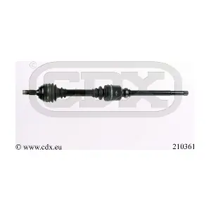 210361 CDX