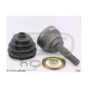 729 CDX