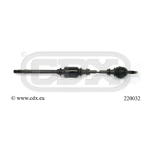 220032 CDX