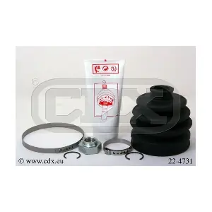 22-4731 CDX
