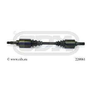 220061 CDX