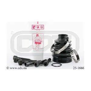 25-1666 CDX