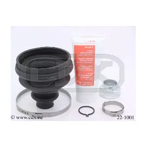 CDX 22-1001