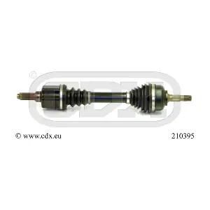 210395 CDX