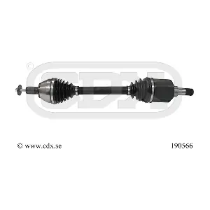 190566 CDX