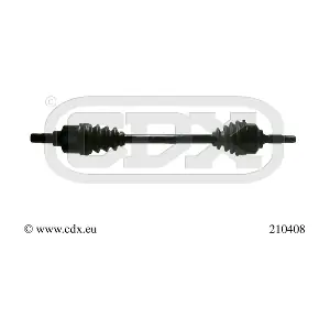 210408 CDX