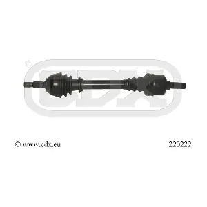 CDX 220222