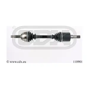 CDX 110901
