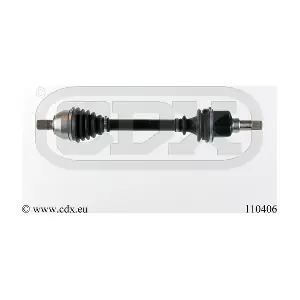 110406 CDX