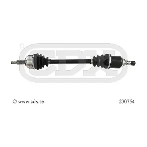 230754 CDX