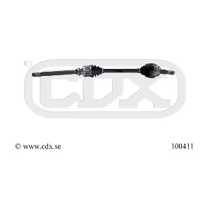 100411 CDX