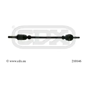 210146 CDX