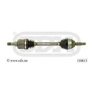 CDX 110813