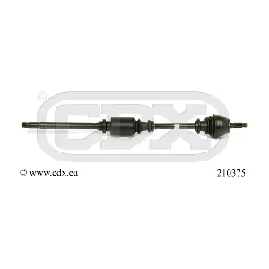 210375 CDX