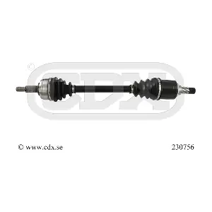 230756 CDX
