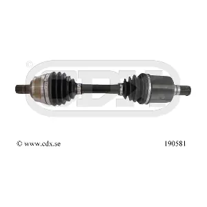 190581 CDX