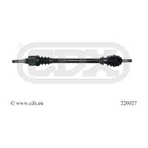 220027 CDX