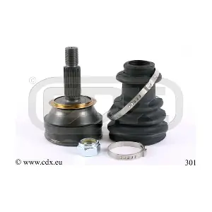 CDX 301
