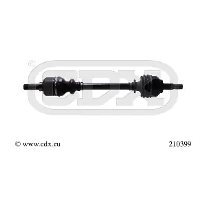 210399 CDX