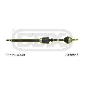 190505/48 CDX