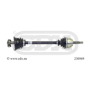 230569 CDX