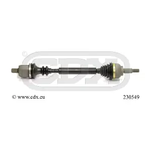 230549 CDX