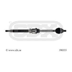 CDX 190555