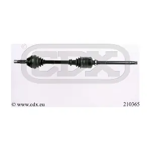 210365 CDX