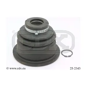 25-2343 CDX