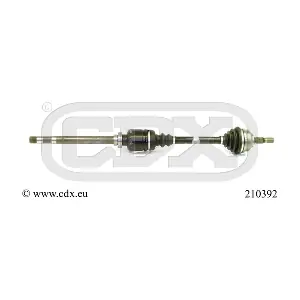210392 CDX