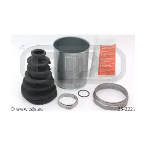 25-2221 CDX