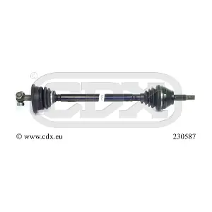 230587 CDX