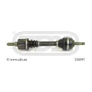 210397 CDX