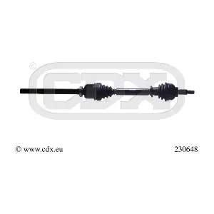 230648 CDX