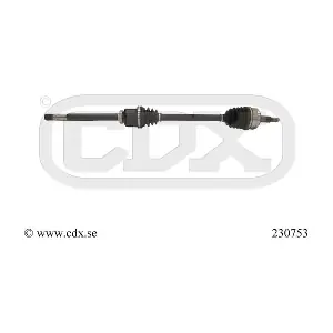 230753 CDX